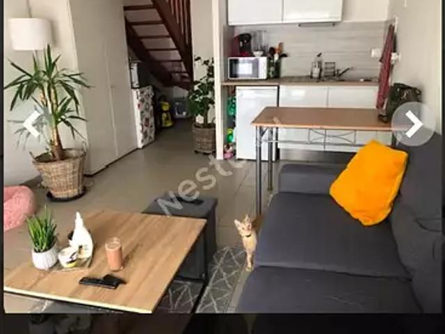Montaigu Vendée 85600 Achat / Vente maison 3 pièces t3 terrasse