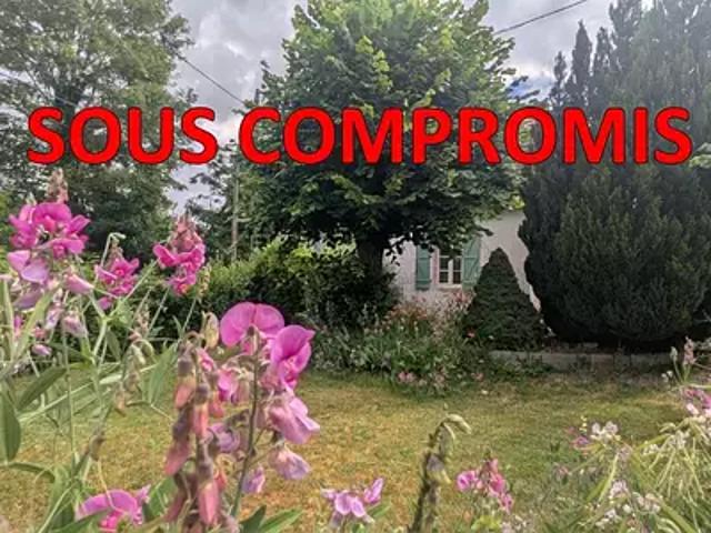 Montaigu le Blin 03150 Achat / Vente maison 5 pièces t5 jardin cave