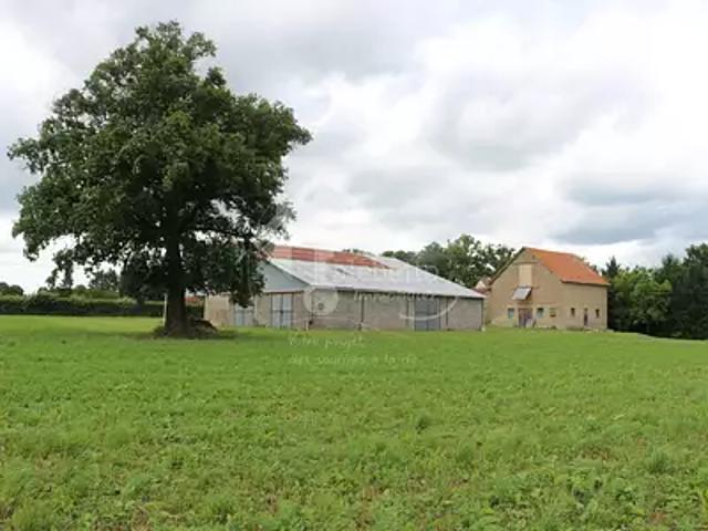 Montaigu le Blin 03150 Achat / Vente maison