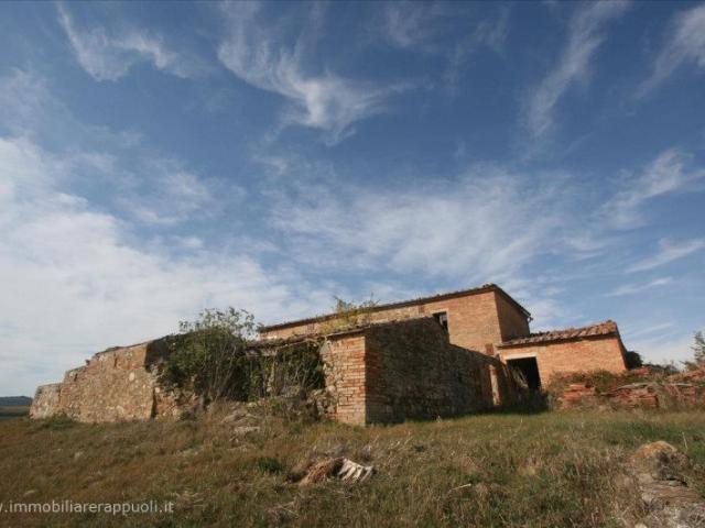 Montalcino/San Quirico vendesi azienda agricola in posizione. 5m² Montalcino