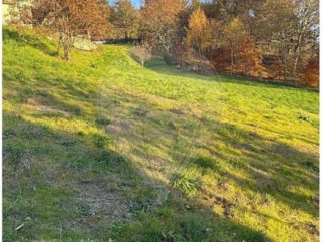Montalegre Montalegre 102859273