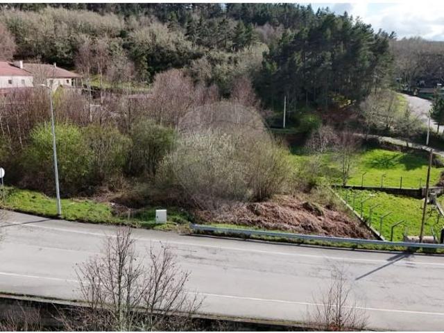 Montalegre Montalegre 103577936