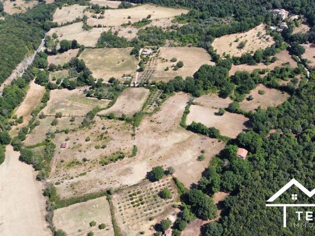 Montasola 46000mq