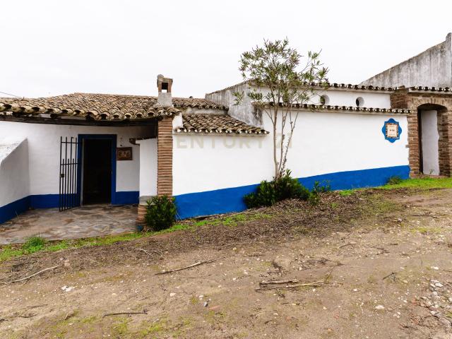 Monte típico 15ha Reguengos Monsaraz Corval 5 divisões, piscina e vinha