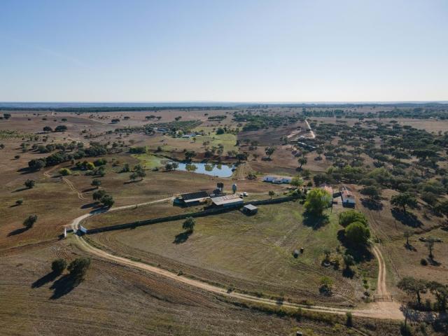 Monte À Venda, Um Refúgio Rural No Coração Do Alentejo 103m² São Cristóvão