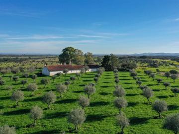 Monte Alentejano No Alandroal, Évora 572m² Santiago Maior