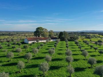Aldeia das Pias, Santiago Maior, Alandroal, Alandroal, Distrito de Évora