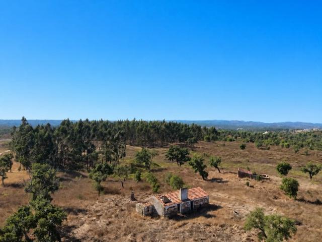 MONTE ALENTEJANO c/ 2 Ruínas 10,84ha a 30 Km das Praias