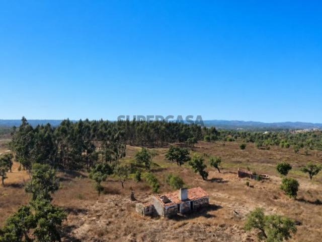 MONTE ALENTEJANO c/ 2 Ruínas 10,84ha a 30 Km das Praias
