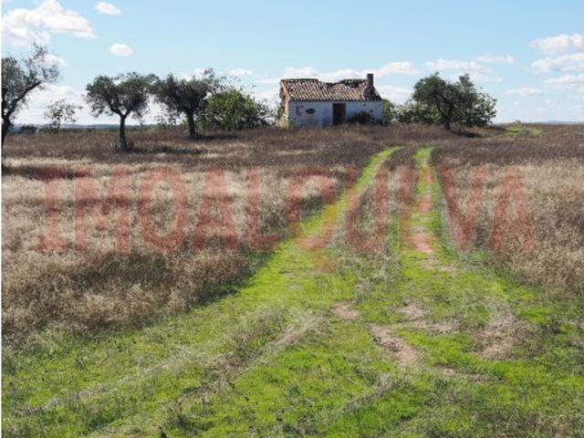 Monte alentejano com 7,9 ha e ruínas para reabilitação