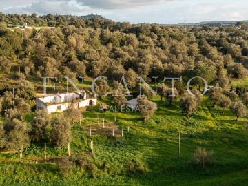 Monte alentejano com 8,2 ha, junto de Montemor o Novo, a 1 h. 163m² Nossa Senhora da Vila, Nossa Senhora do Bispo e Silveiras