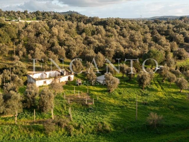 Monte alentejano com 8,2 ha, junto de Montemor o Novo, a 1 hora de Lisboa