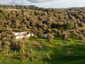 Monte alentejano com 8,2 ha, junto de Montemor o Novo, a 1 hora de Lisboa