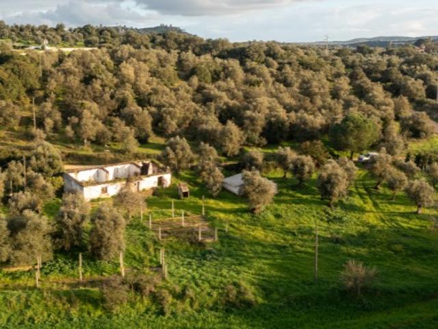 Monte alentejano com 8,2 ha, junto de Montemor o Novo, a 1 hora de Lisboa
