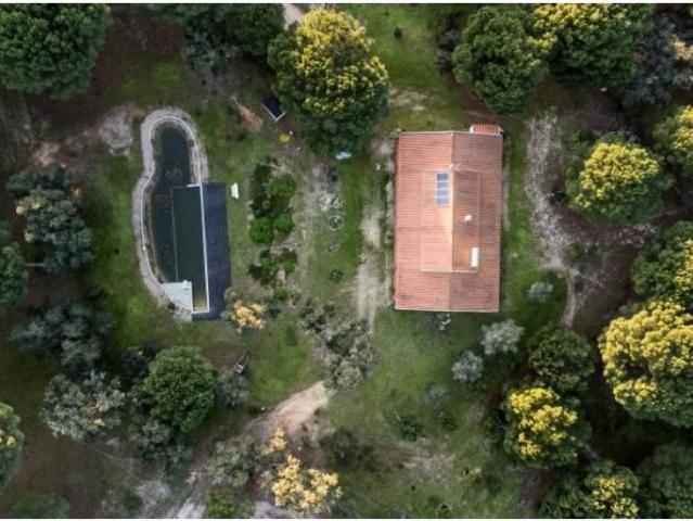 Monte Alentejano com 8,2 Hectares Um Paraíso de Natureza e. 297m² Cortiçadas de Lavre e Lavre