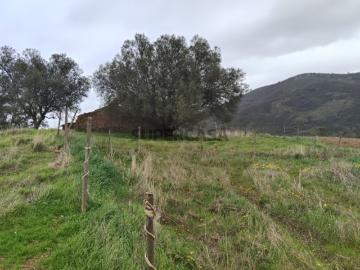 Saboia, Odemira, Distrito de Beja