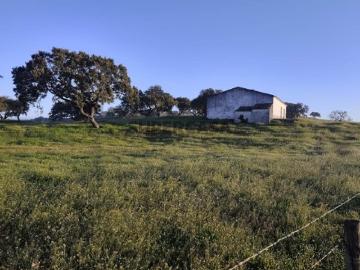 Monte alentejano com área total de 372.344,50 m² cerca de 37 ha