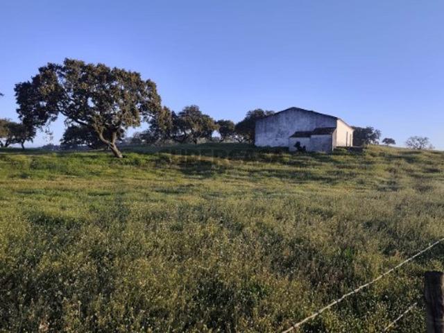 Monte alentejano com área total de 372.344,50 m² cerca de 37 ha