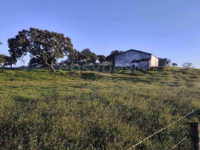 Monte alentejano com área total de 372.344,50 m² cerca de 37 ha