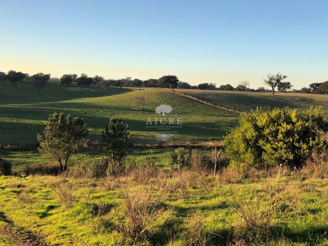 Monte Alentejano com Projeto de Turismo Rural Aprovado – Santiago do Cacém