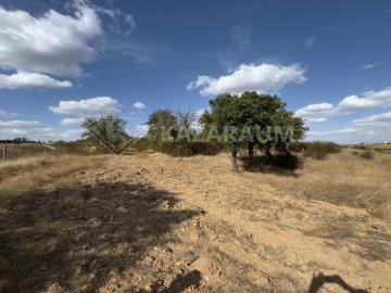 Monte Alentejano com Ruína e Vista Deslumbrante em Ourique
