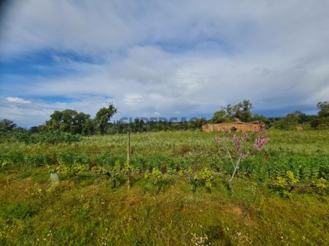 Quinta em Melides com 5 quartos e vastos espaços verdes