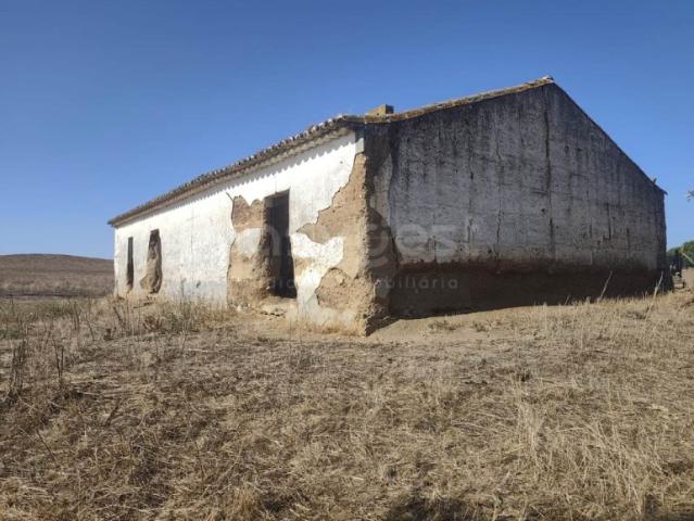 Monte Alentejano para Recuperar Aldeia do Carregueiro, Aljustrel