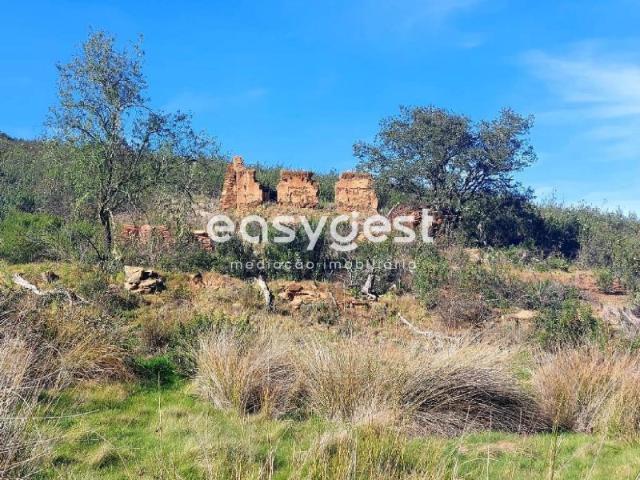 Monte Alentejano para recuperar localizado no concelho de Mértola
