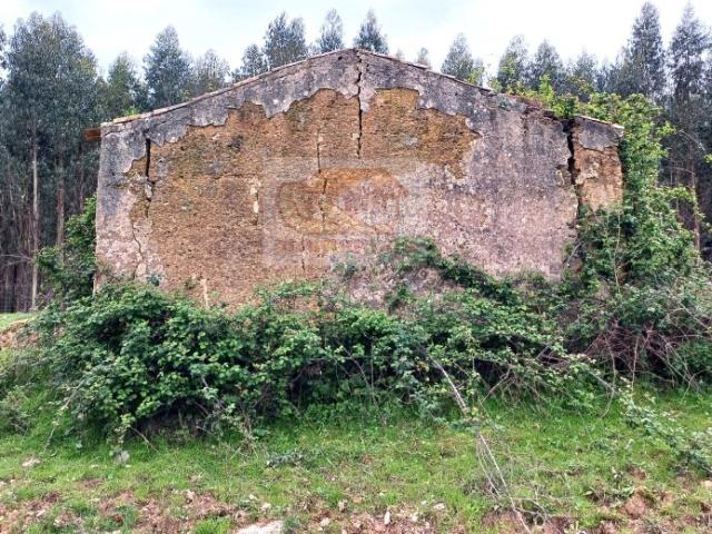 Monte Alentejano para recuperar 20 minutos das praias