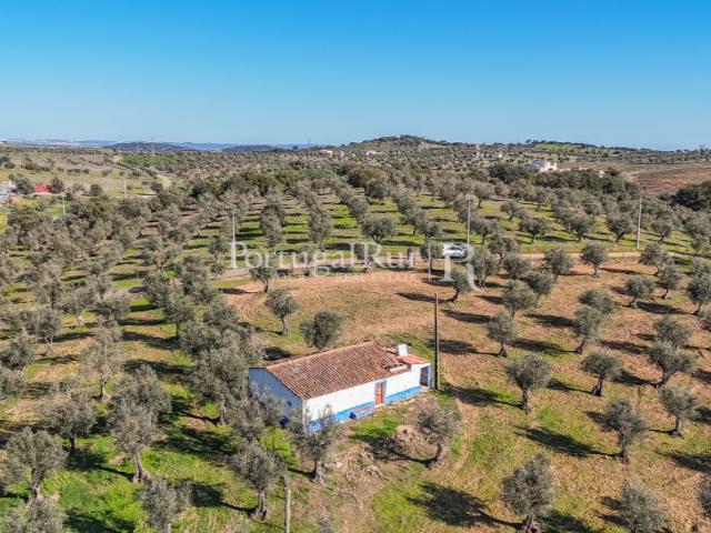 Monte alentejano com 1,3 hectares para recuperar, Évora
