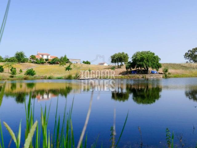 Monte Alentejano — Refúgio moderno com lago privado, perto d. 249m² Ourique