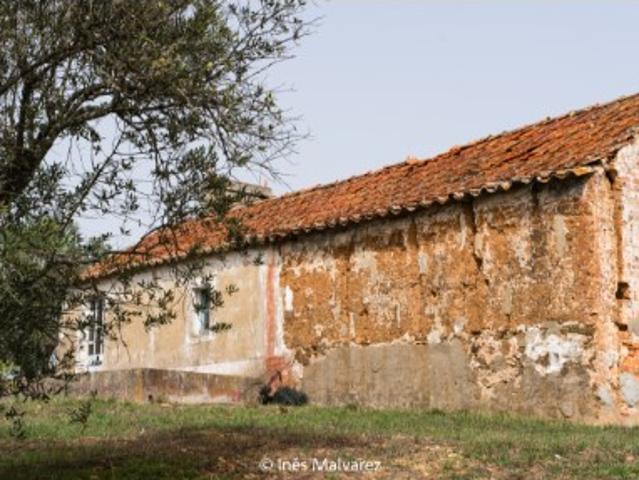monte Alentejano