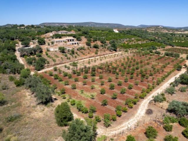 Monte algarvio com grande potencial localizado no Barrocal, em São Bartolomeu de Messines Silves, inserido num terreno com cerca de 2,64 hectares