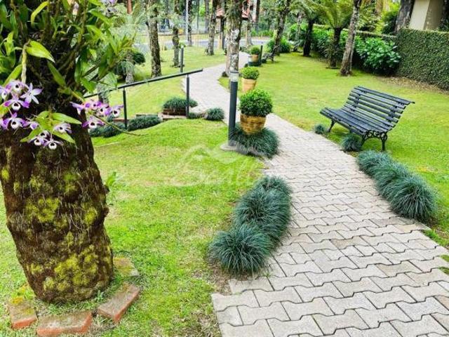MONTE BELO