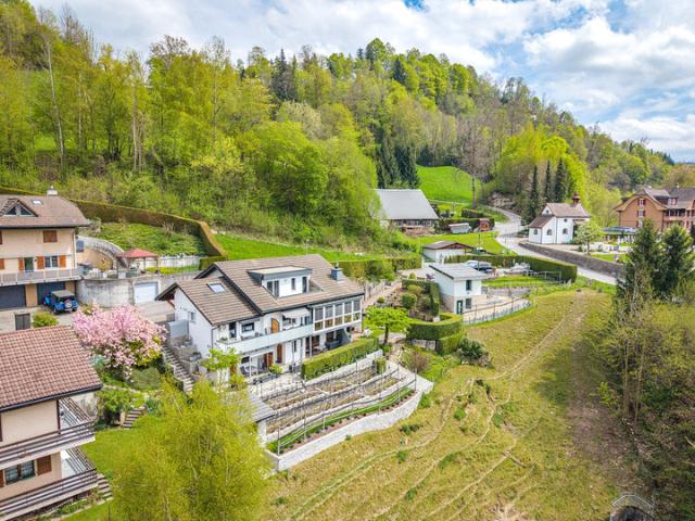 MONTE CASTELLO FANTASTISCHES ANWESEN MIT NEBENGEBÄUDE UND WEINBERG