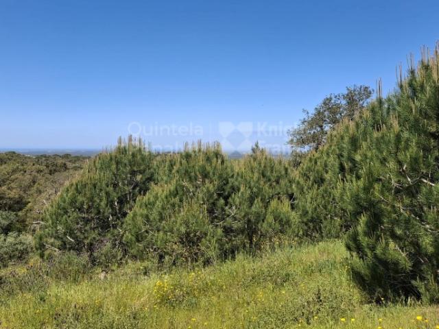 Monte com 4,7 hectares pip aprovado para habitação 500 m2 em Melides, Grândola