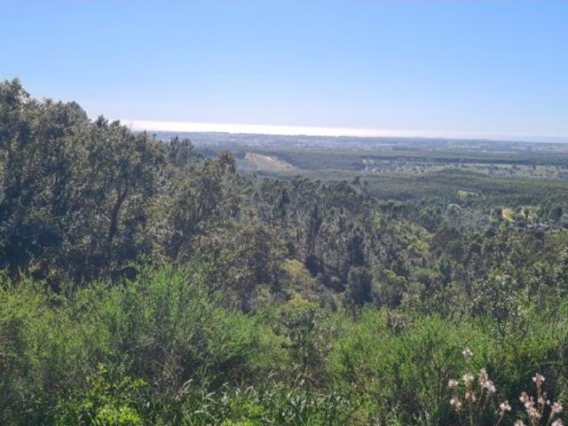 Monte com vista Mar