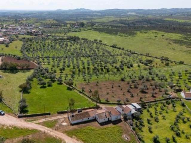 Monte da Chamurreira Casa Tradicional com História a 10 Minutos do Alqueva