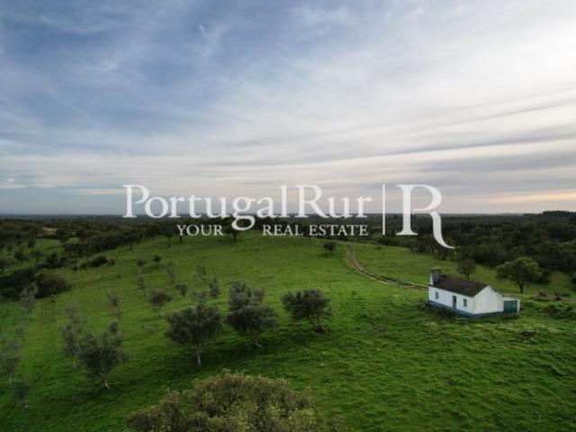 Monte das Colinas 13.5 Hectares São Bartolomeu da Serra