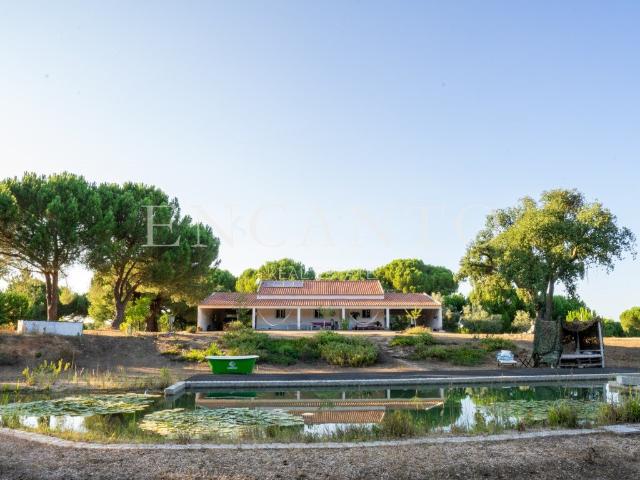 Monte de 8,2 hectares, com piscina biológica e diversas cons. 85m² Cortiçadas de Lavre e Lavre
