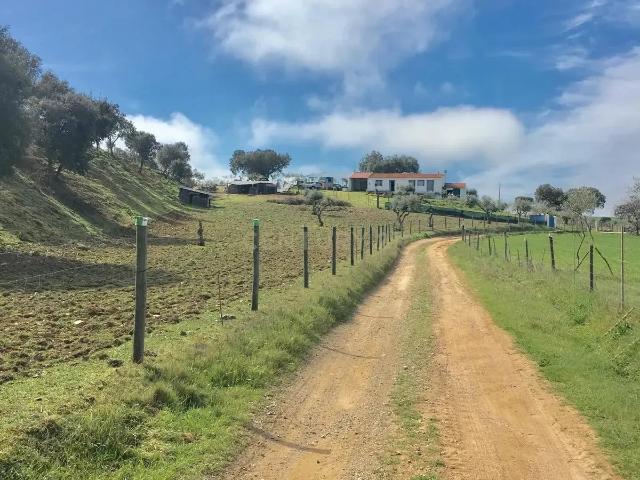 Monte em Sousel para remodelação