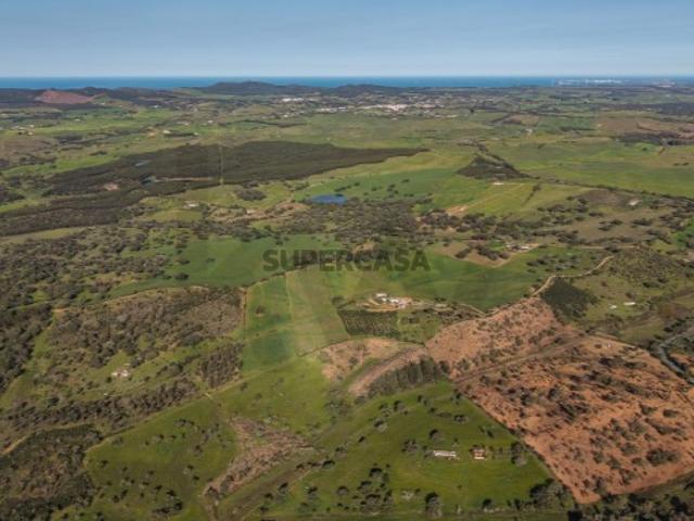 MONTE FERRENHO | PIP INFORMADO | Cercal do Alentejo | Santiago do Cacém