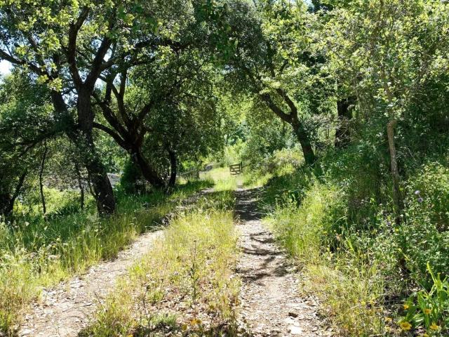 Monte na serena Serra d'Ossa com 11ha e 3 casas rústicas 390m² Glória e Vera Cruz