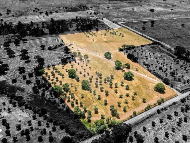 Montemor Montemor 94216031