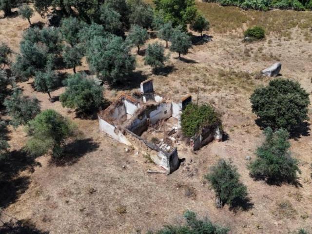 Montemor Montemor 96613968