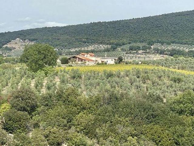 Montecchio Umbria 92433662