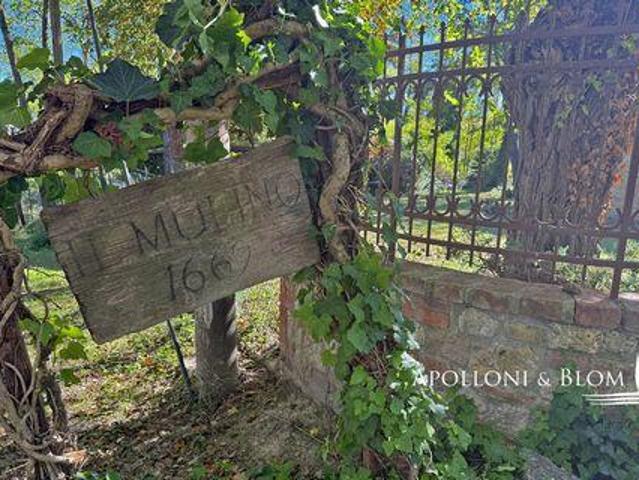 Montepulciano ToscanaTuscany 53045 95535384