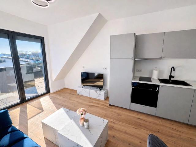 Monthly Rental! Luxury Living! Penthouse! Skyline+Kahlenberg View! Amazing Roof Top Terrace & Garage!