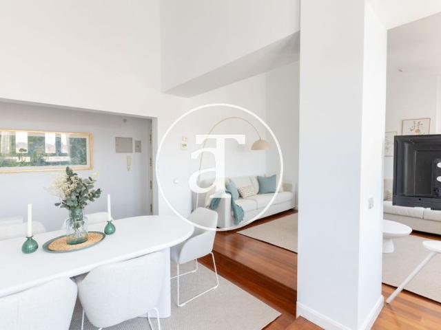 Monthly rental penthouse with 3 bedrooms, and 2 bathrooms in Goya
