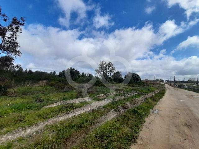 Montijo Montijo 2985 162 97121237